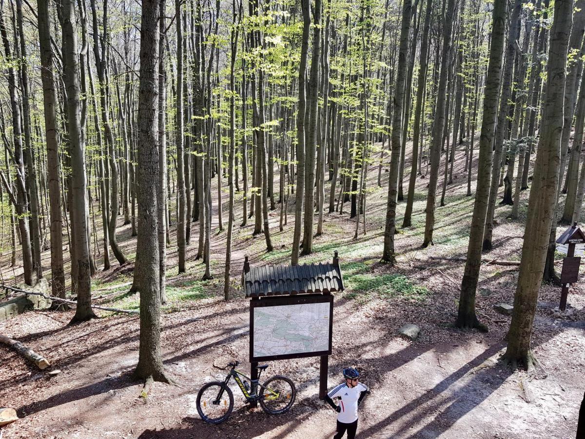 Agroturystyka Zrodelko Swieta Katarzyna  Extérieur photo